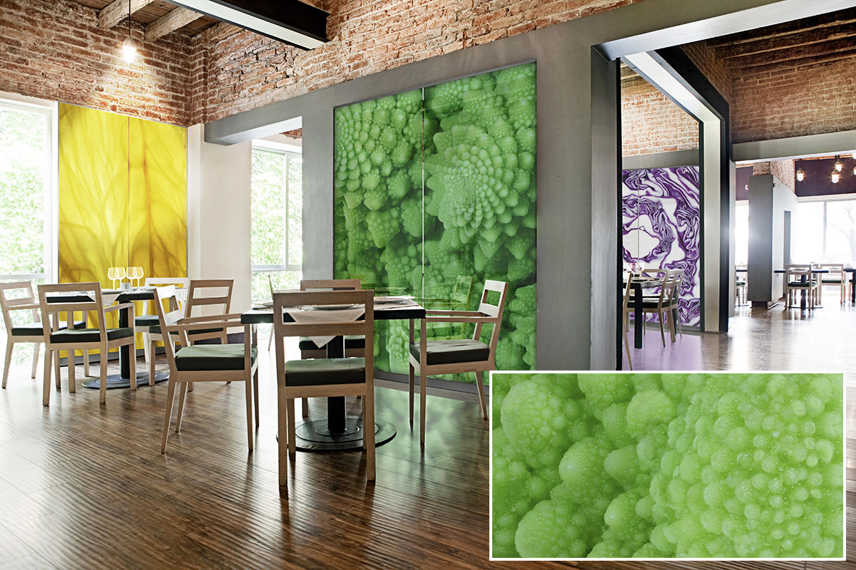 FSRT382 Зум-стекло Vivispectra с прослойкой dracanea fragans Forms-surfaces  - Вид №12