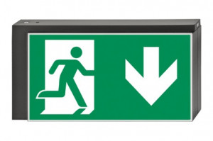 DST-2934 Lisu pennant Daisalux Светильники сигнальные Металлический Серый