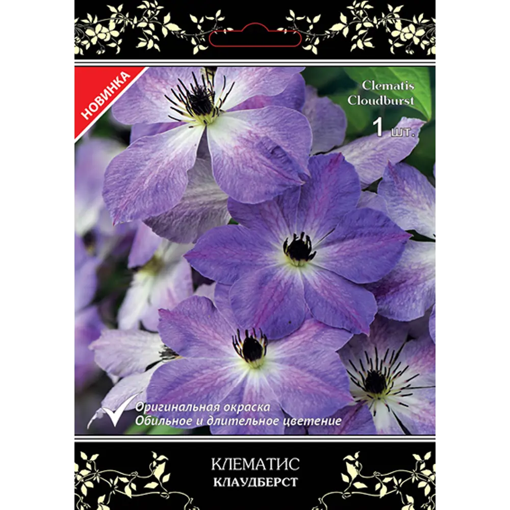 Клематис крупноцветковый Люкс Клаудберст h15 см 83431385 STLM-2206044 Santreyd 