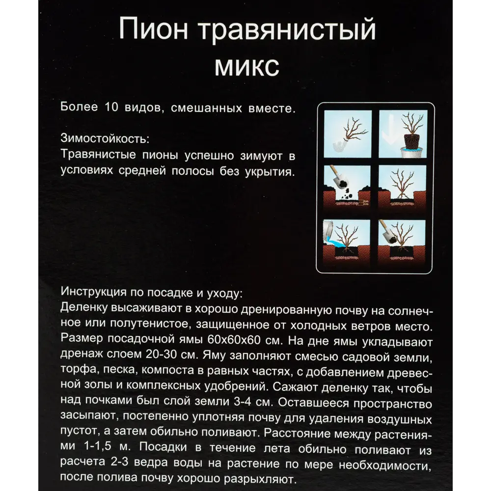 Микс травянистых пионов, в тубе 14379795 STLM-2074107 Santreyd  - Вид №2