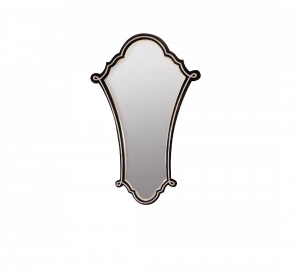 Gentry Home Адель Mirror hand carved wood frame Rose silver - черный лак GH102897