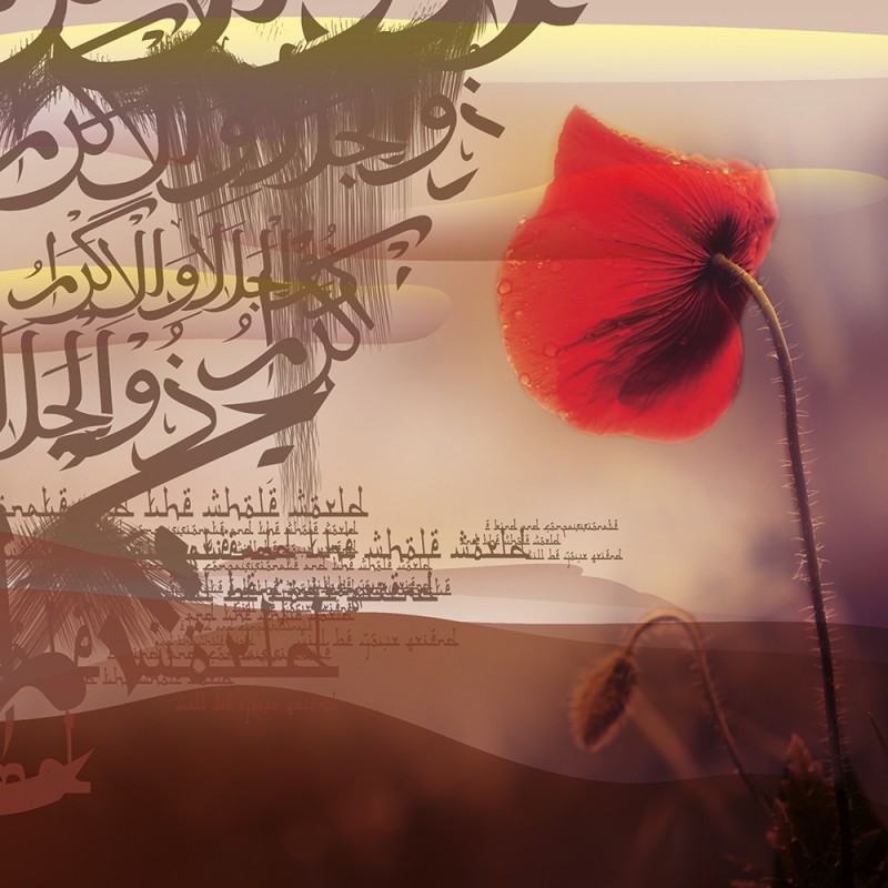 2264/CX38 Картина 2264 Adriani e Rossi 