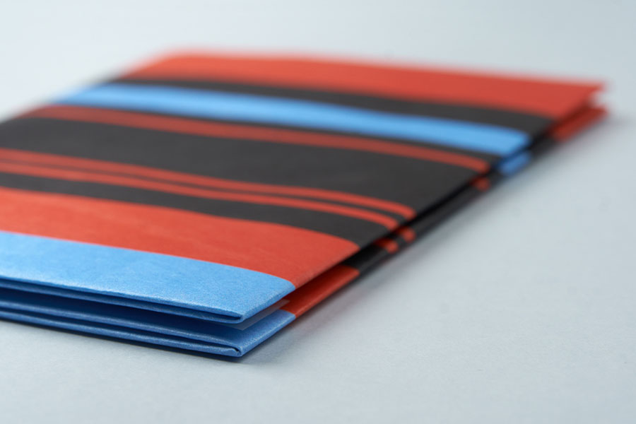 NС-031 Обложка на паспорт new tabby, в полоску New wallet  - Вид №4