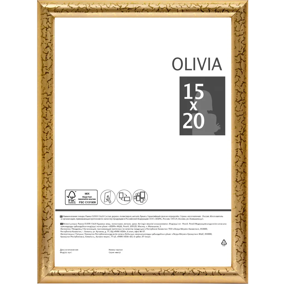 Рамка Olivia 15x20 см пластик цвет золото Santreyd STLM-2146721