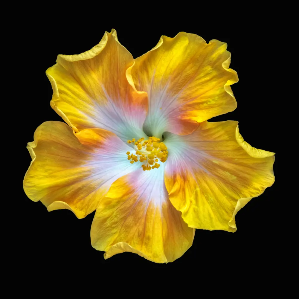 Картина на стекле Цветочная фантазия 2 30x30 см POSTERMARKET STLM-2212220