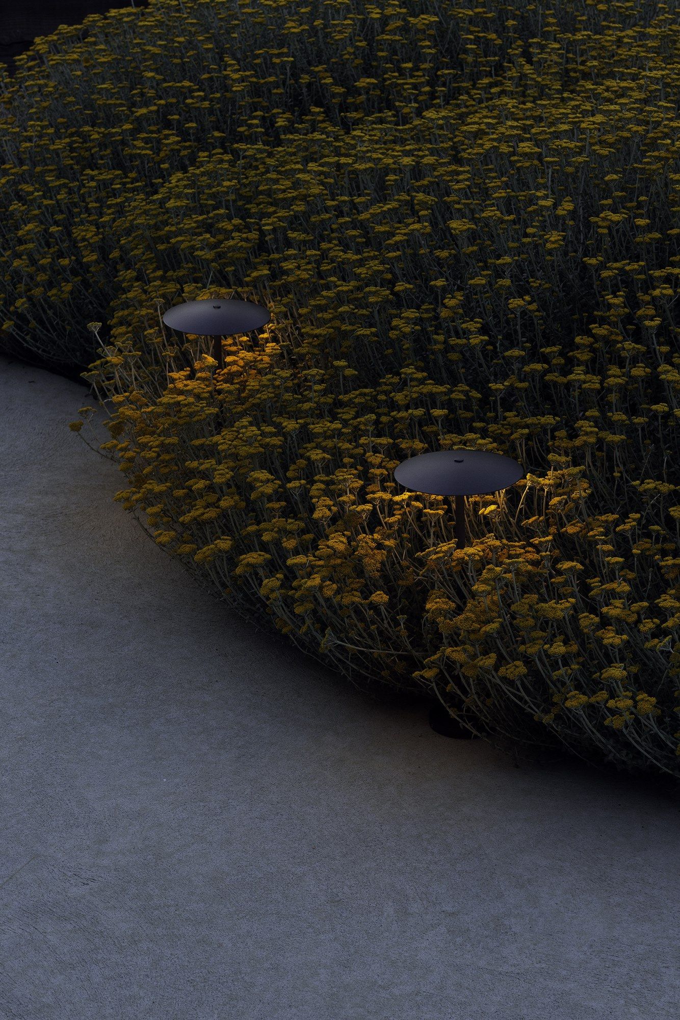 Напольный светильник Marset Имбирь ARCH-00130843 - Вид №14