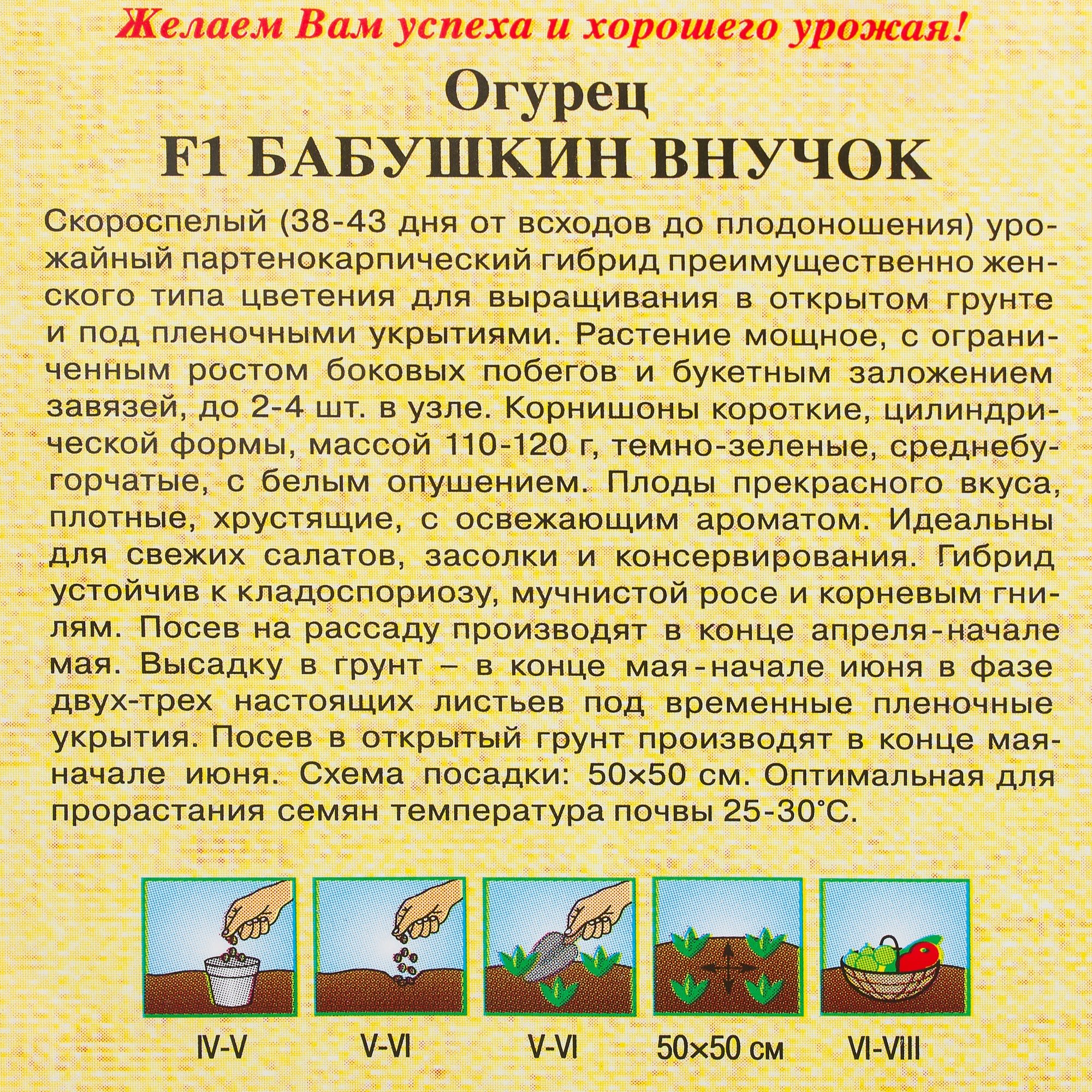 14388211 Семена Огурец «Бабушкин внучок» F1 Santreyd  - Вид №2