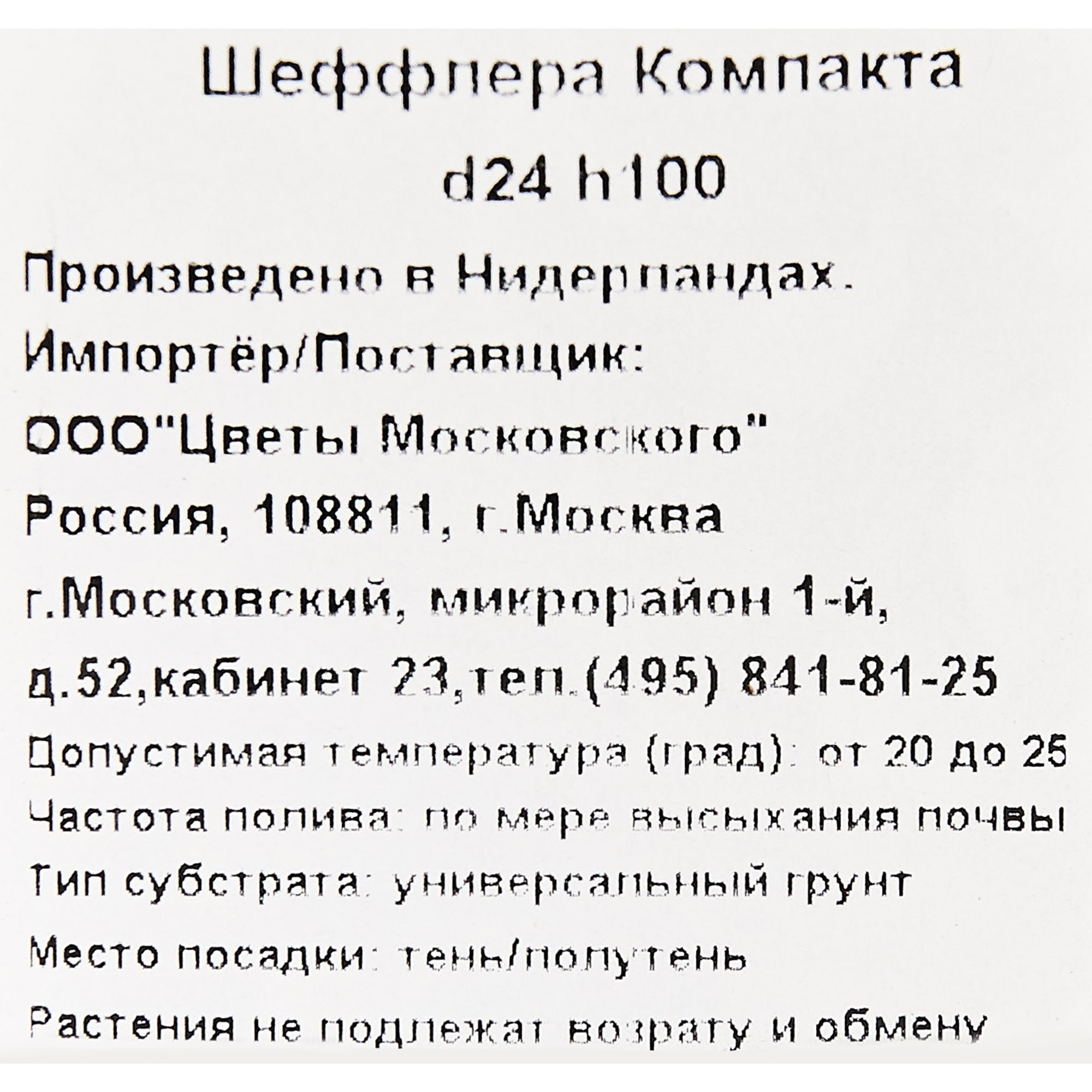 82892078 Шеффлера Компакта 24x100 см Santreyd  - Вид №2