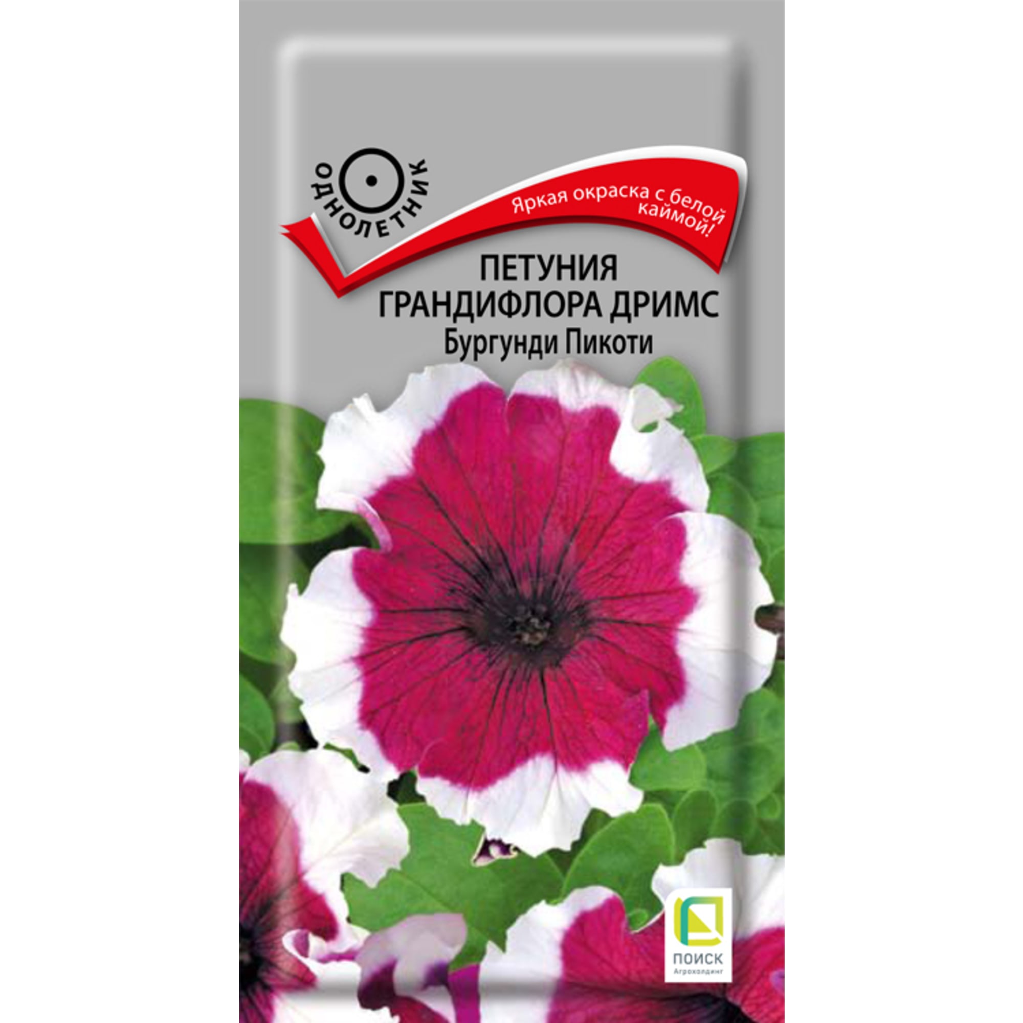 83227407 Семена Петуния Грандифлора Дримс «Бургунди Пикоти» Santreyd 