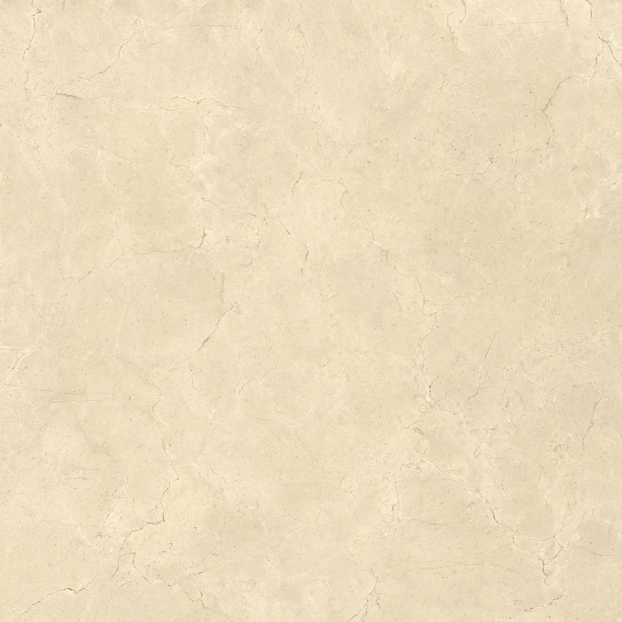 Пол / облицовка керамогранита с эффектом камня Italgraniti Calcis ARCH-00078048 - Вид №64