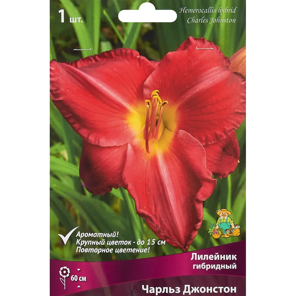Лилейник гибридный Чарльз Джонстон 85186044 STLM-2079623 ПОИСК 