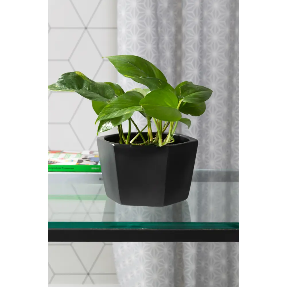 Кашпо Эджес ø18 h11 см v1.5 л керамика чёрный Santreyd STLM-2133545 - Вид №4