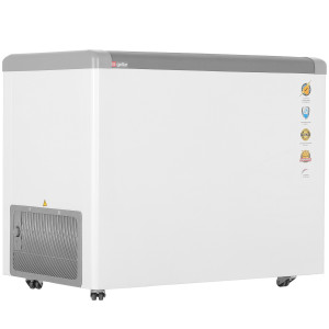 1229575 Морозильный ларь Frostor Gellar FG 350 C белый, серый