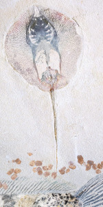 Декоративная панель из алюминия, стекла или ПММА