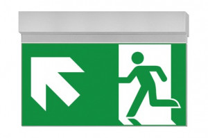 DST-1563 Ikus 320-t Daisalux Светильники сигнальные Серебристо-Серый