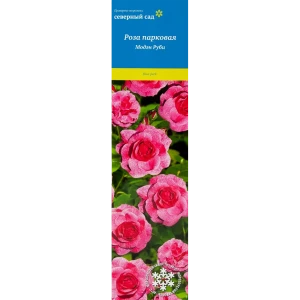 Роза канадская парковая Модэн Руби 82527403 STLM-2088837