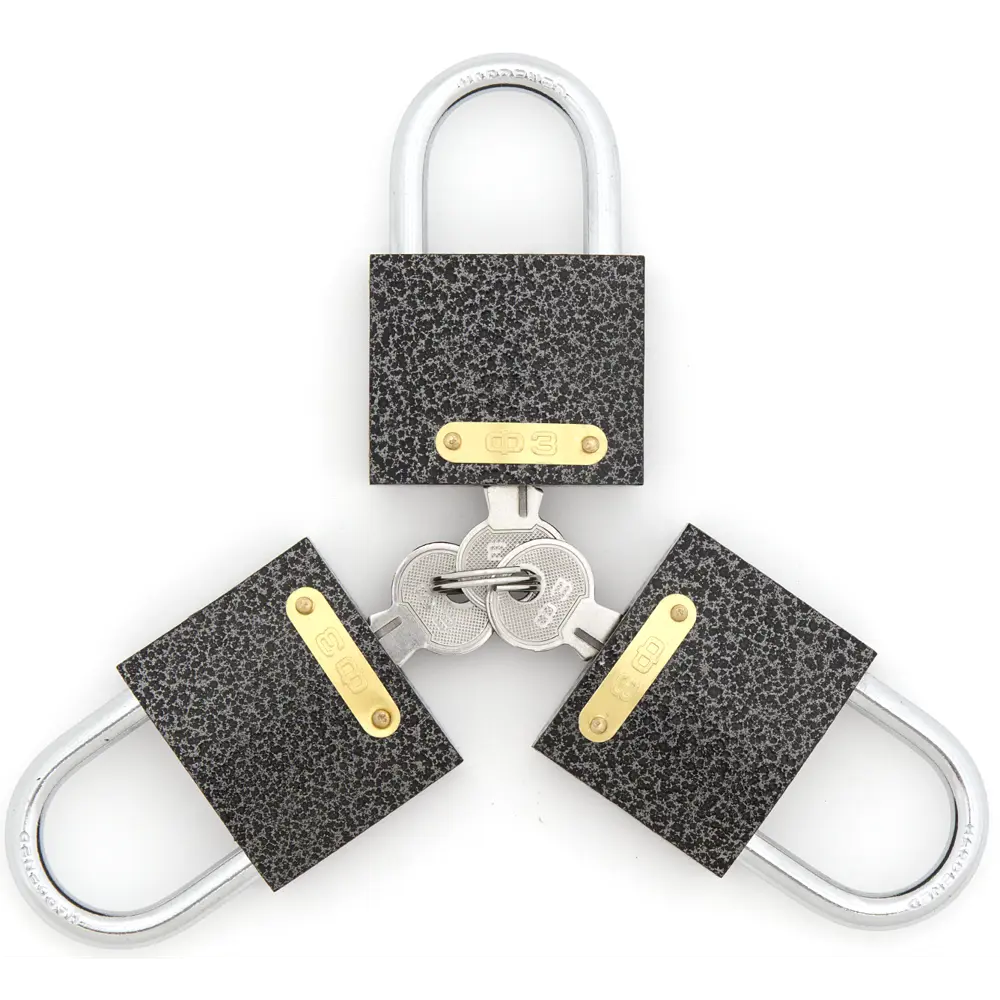 Набор навесных замков 303F-50 3P6K 50x41 мм, чугун Santreyd STLM-2165017 - Вид №4