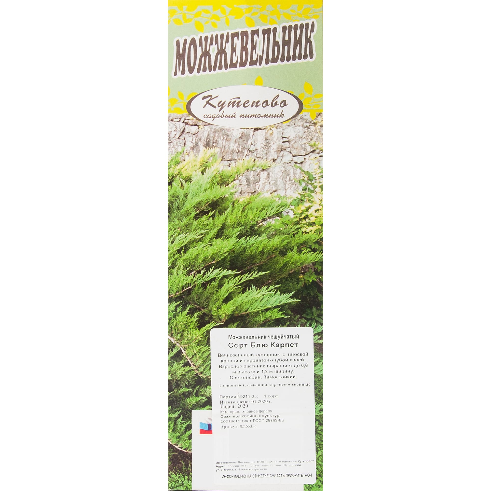 82155356 Можжевельник чешуйчатый «Блю Карпет» в коробке Santreyd  - Вид №2