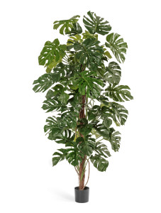 10.21206N Монстера на стволе большая Цветочная коллекция