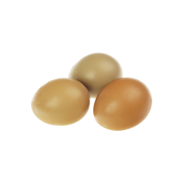 Яйцо фазана Santreyd 18926