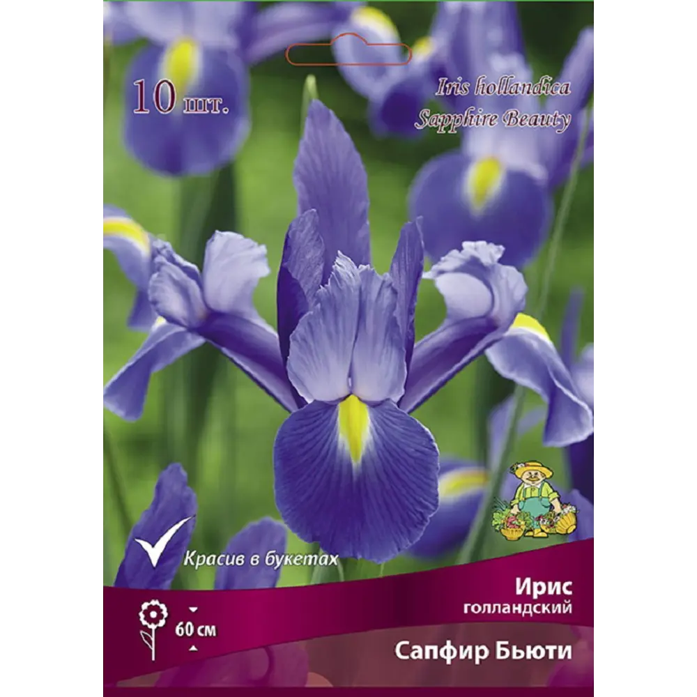 Ирис голландский Сапфир Бьюти 10 шт. 89433499 STLM-2111495 ПОИСК  - Вид №1