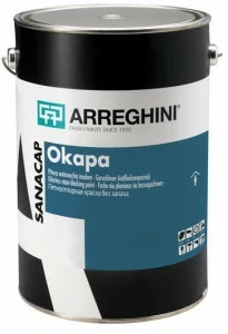 CAP ARREGHINI Краска без пятен и запаха Sanacap