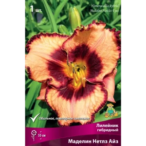 Лилейник гибридный Маделин нетлз айз луковица I 88294953 STLM-2144446