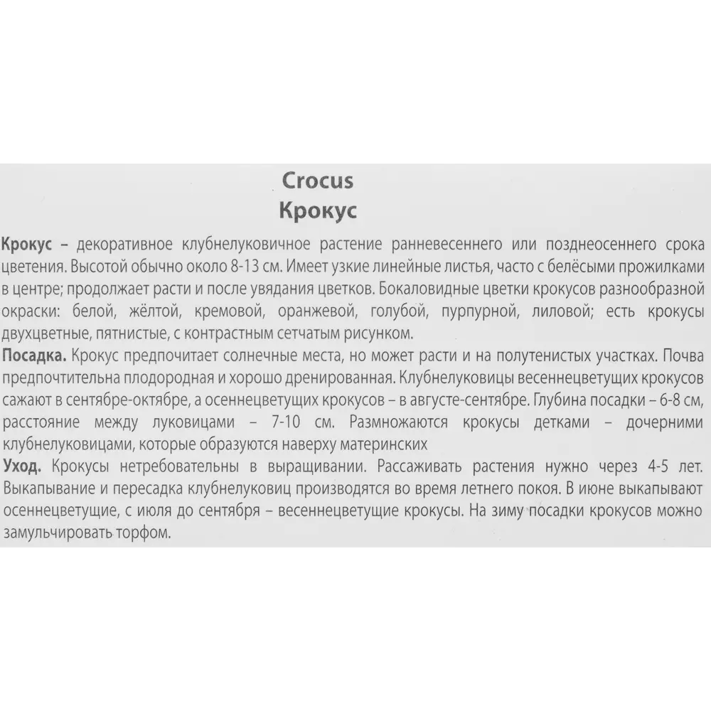 Крокус прекрасный Конкерор луковица 5/7, 10 шт. 88294630 STLM-2088343 Santreyd  - Вид №2