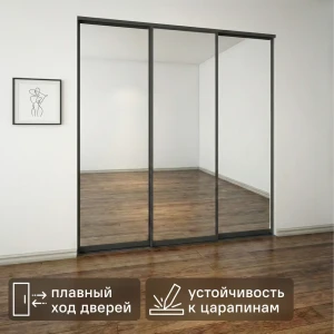 Дверь-купе KONSENSA 225.5x70.4 см с зеркалом профиль черный