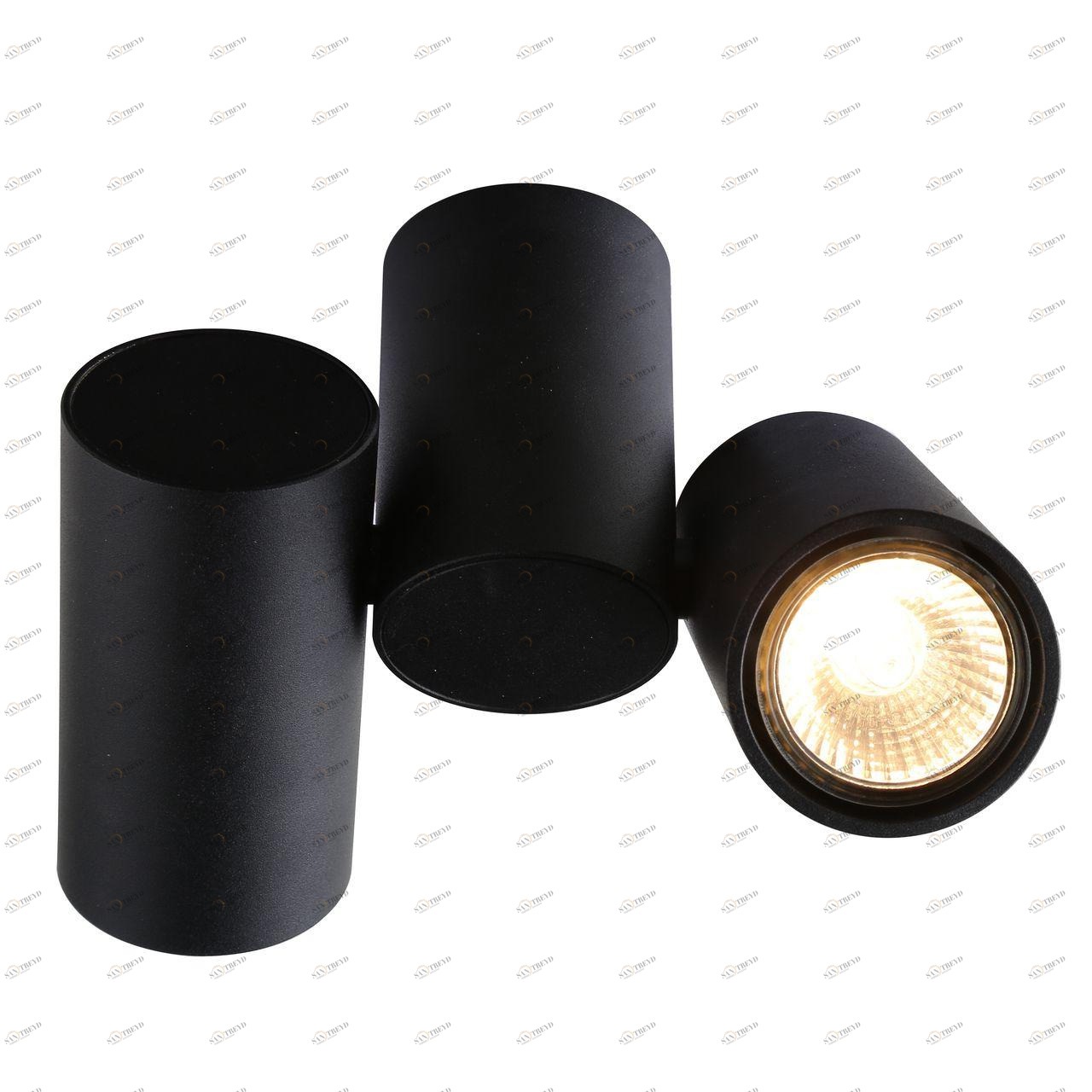 Потолочный светильник Divinare Gavroche 1354/04 PL-2 DIVINARE GAVROCHE 103088 Черный 