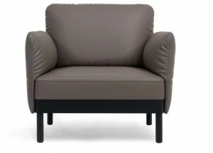 de Sede Кожаное кресло с подлокотниками Ds-840