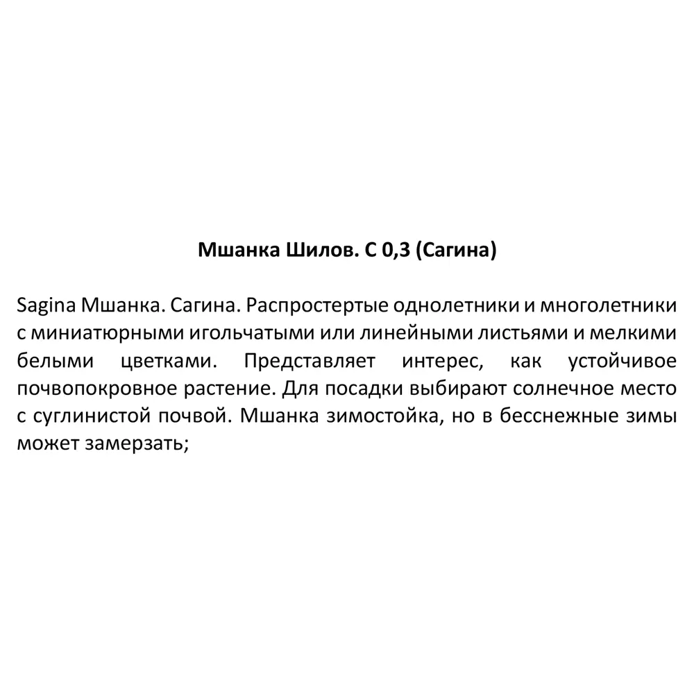 Сагина Шиловидная h15 см 84845149 STLM-2153122 Santreyd  - Вид №3