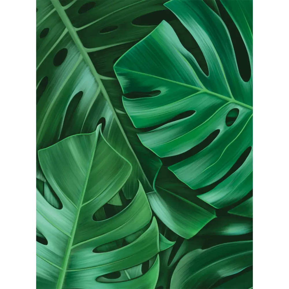 Картина модульная Монстера 45x60 см 2 шт POSTERMARKET STLM-2119514 - Вид №2