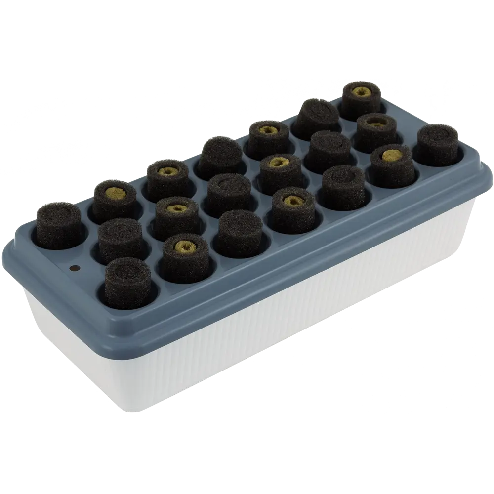 Проращиватель Здоровья клад «Чудо грядка» Santreyd STLM-2149164 - Вид №6