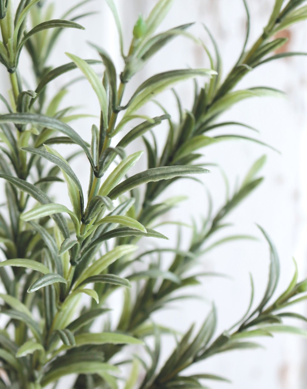 5279 883 a2 Искусственный куст розмарина, 41 см, зеленый H-andreas 