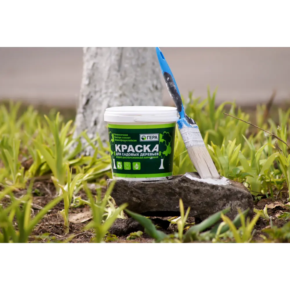 Краска для садовых деревьев 4 кг Santreyd STLM-2210142 - Вид №2