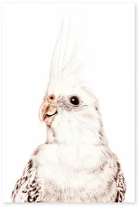 Groovy Magnets Магнитный плакат Animal Pos-62-p