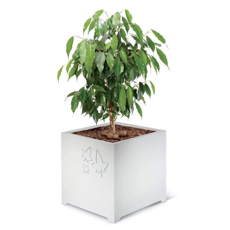 Вазон LAB23 LEAVES ARCH-00021921 - Вид №1