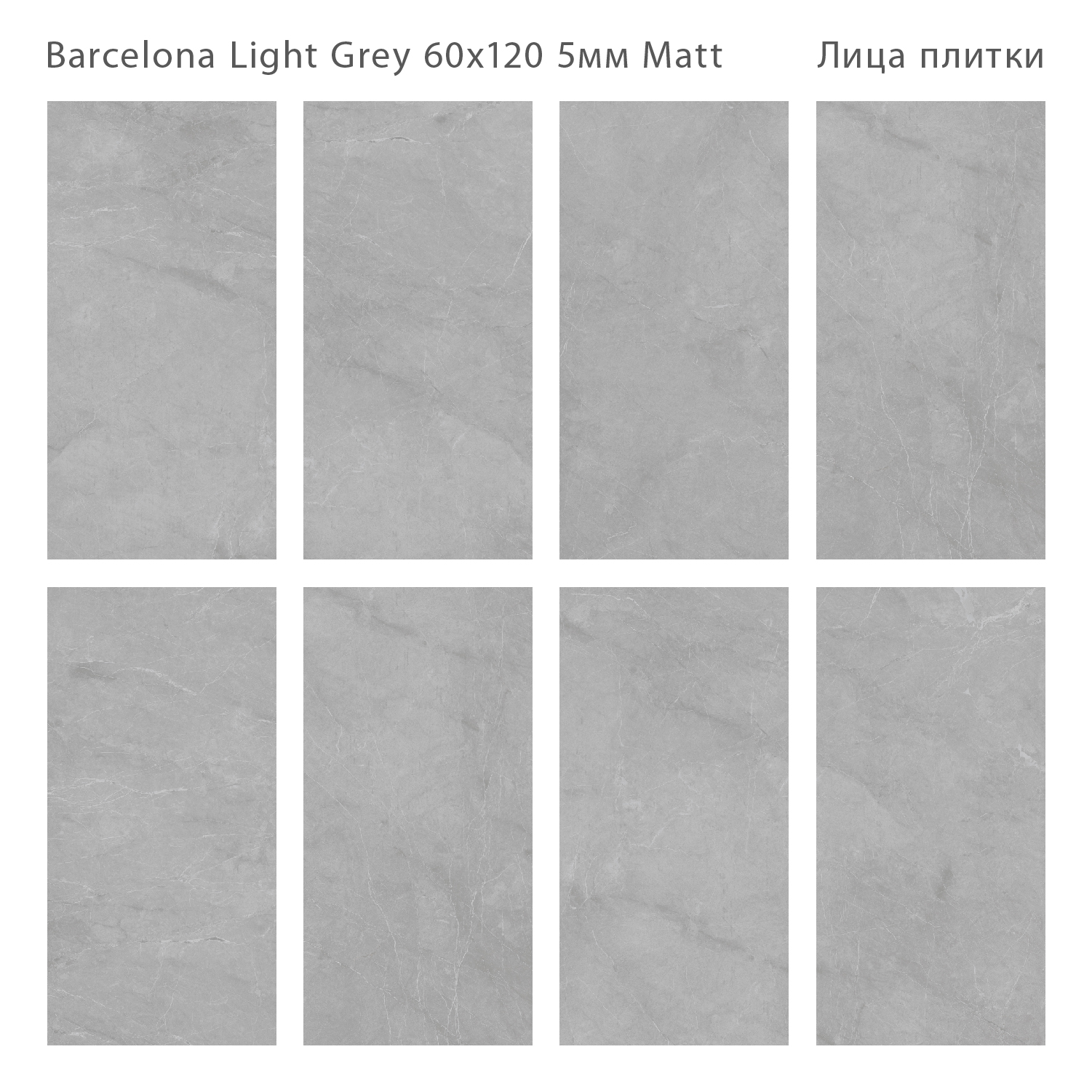 Slim Marbles Barcelona: Элегантность серого мрамора STP-ST315 INCOLOR - Вид №1