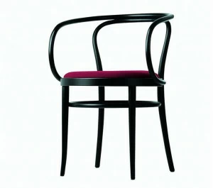 Thonet Стул с мягким сиденьем из фанеры 209