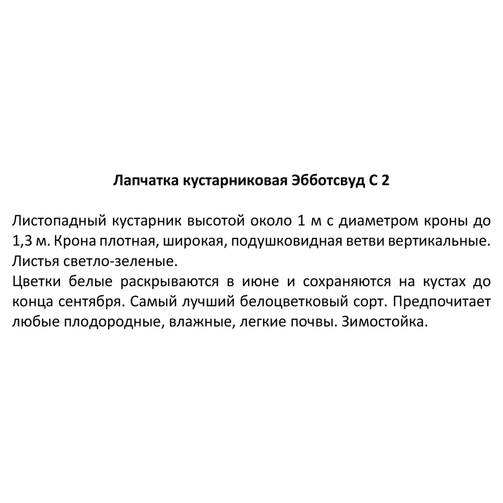 Лапчатка кустарниковая Эбботсвуд ø17 h30 см 85324924 STLM-2076643 Santreyd  - Вид №3