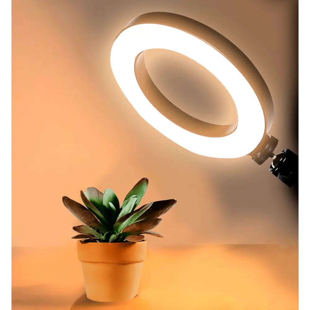 Santreyd Кольцевая LED-лампа 30 см с держателем для смартфона 85600164 STLM-0910365 - Вид №2