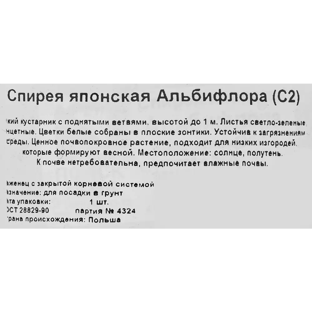 Спирея японская «Альбифлора» С2 82360401 STLM-2174682 Santreyd  - Вид №2