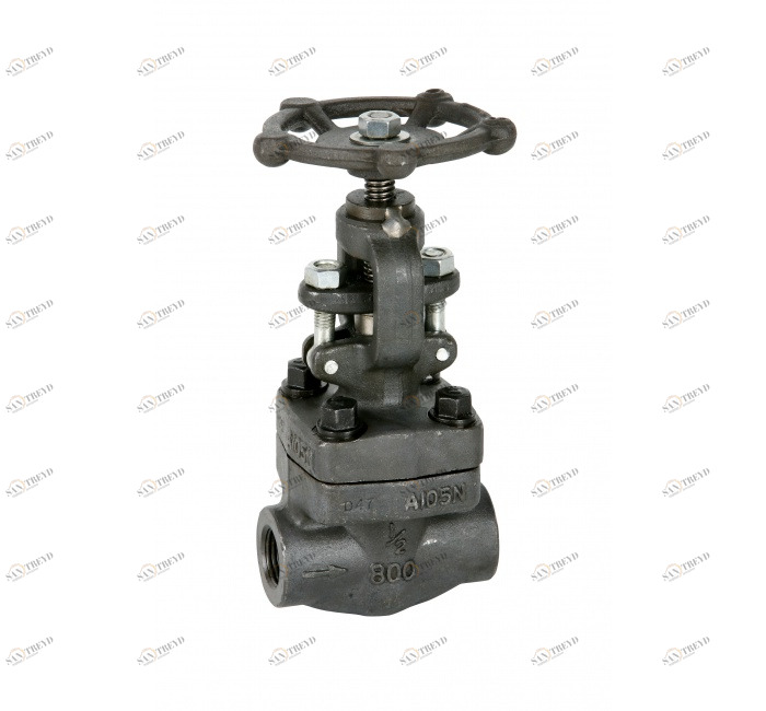 GENEBRE 2233s 05 Globe valve class 800 (2233S - S.W. ends) 