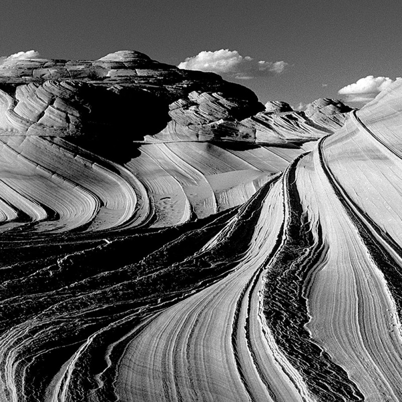 0308/CX38 Набор из 6 ящиков для травяного декора Adriani e Rossi  - Вид №1