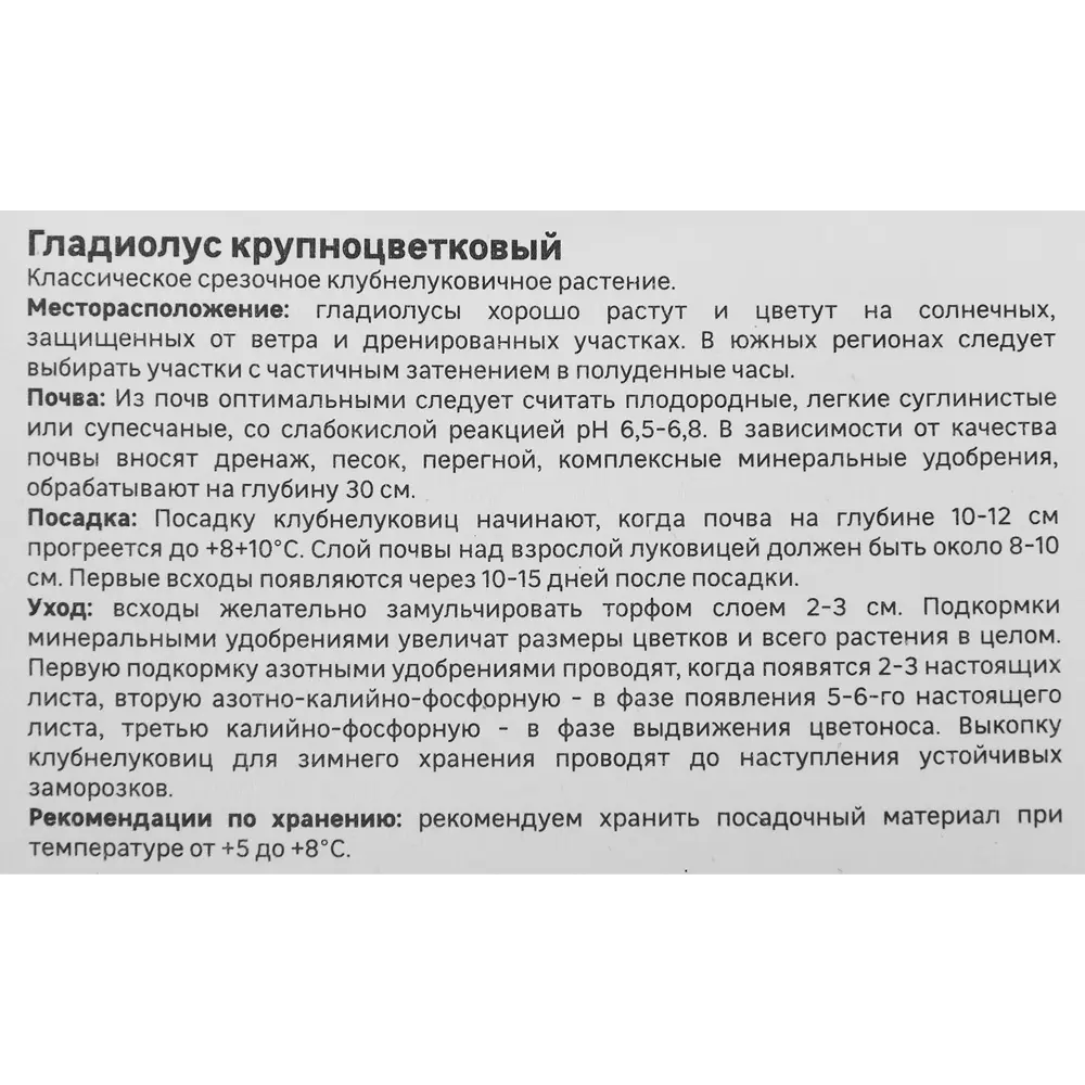 Гладиолус крупноцветковый Одиссея Geolia 3 шт STLM-2098145 - Вид №2