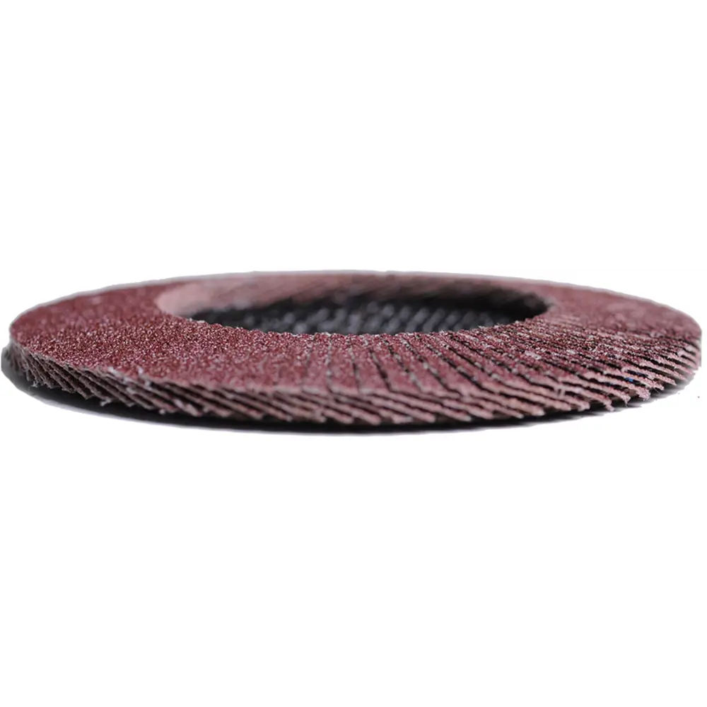 Круг лепестковый торцевой конический КЛТ2 Flexione Expert Р60 125x22.2 мм STLM-2168547 - Вид №2