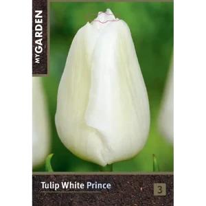 Луковицы тюльпана Уайт Принц 10/11 - многолетние белые цветы для сада 89433029