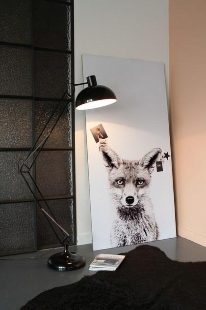 Groovy Magnets Магнитные обои Animal Mbp-62-f - Вид №4