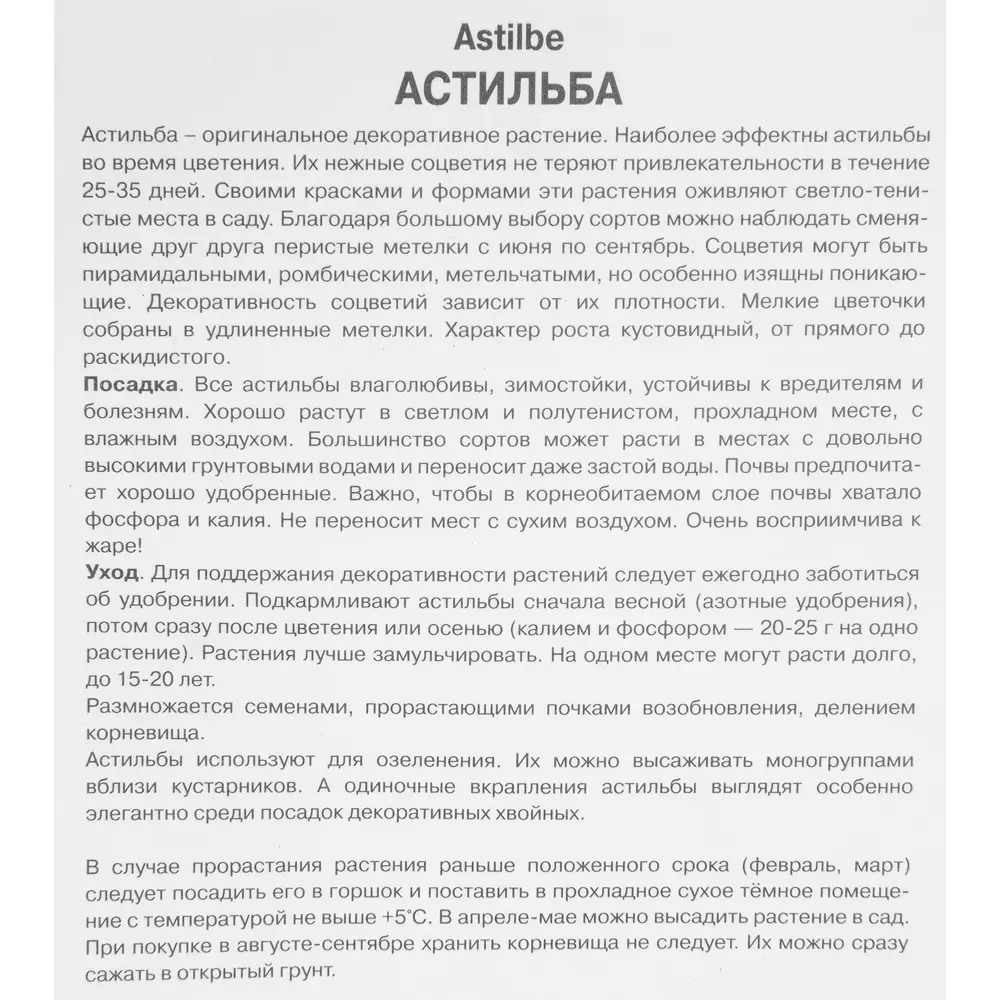 Астильба китайская Хот перлз луковица I 88294701 STLM-2070112 Santreyd  - Вид №2